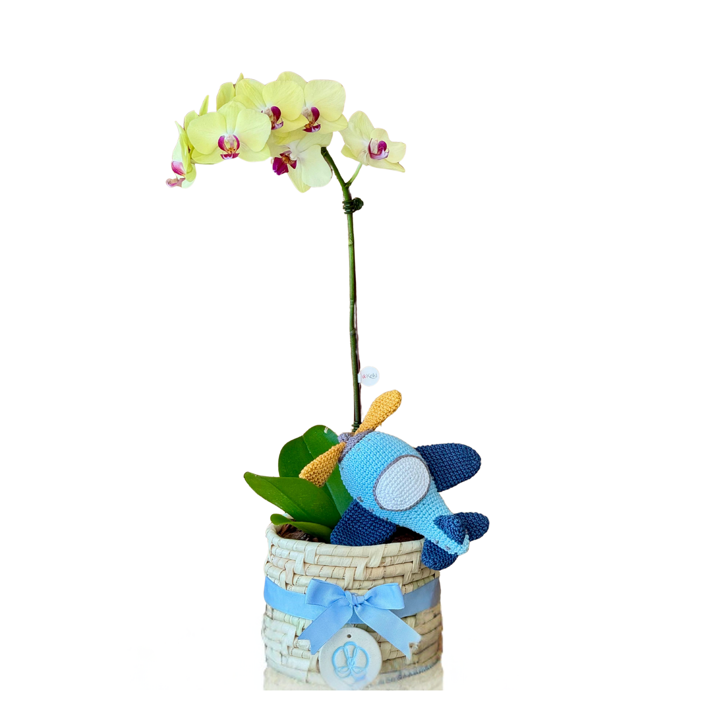 Arreglo de Orquídea - Karanday con amigurumi avioncito celeste - 1 vara grande