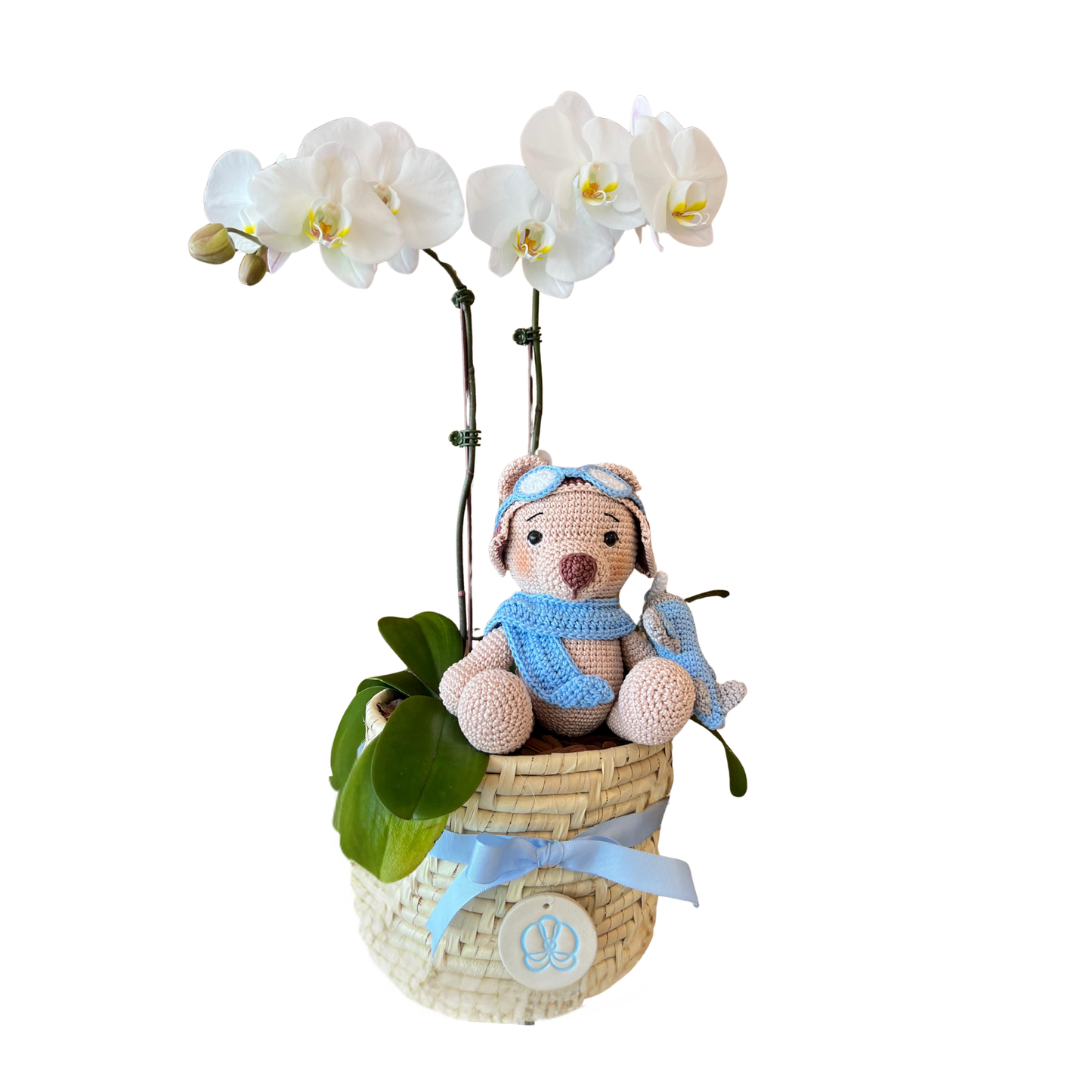 Arreglo de Orquídea -Karanday con amigurumi oso aviador - 2 varas grandes