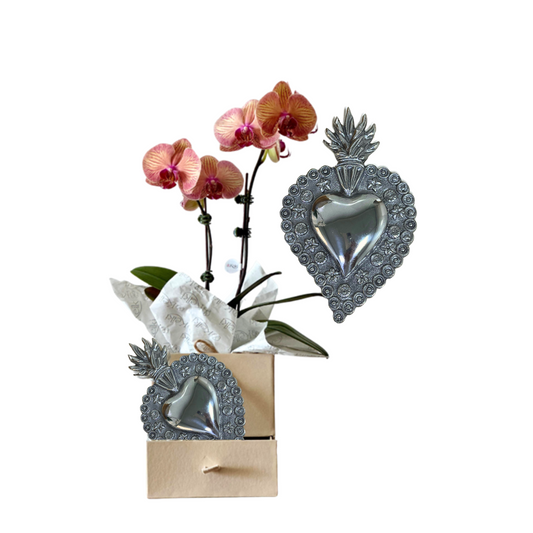 Box Sagrado Corazón de Jesús