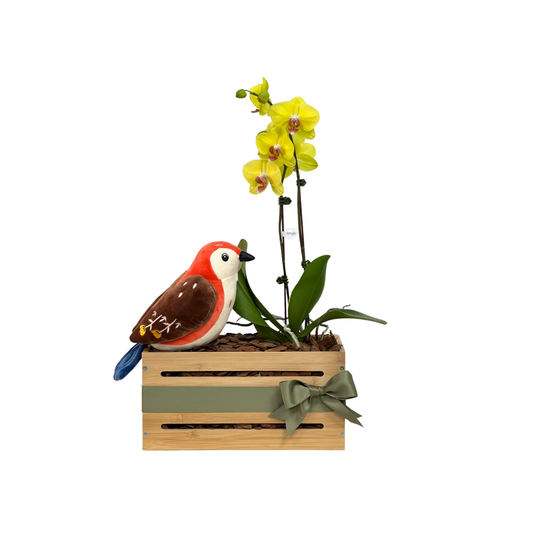 Arreglo de Orquídea - Bebé - bambú pequeño con peluche de pajarito - 1 vara grande