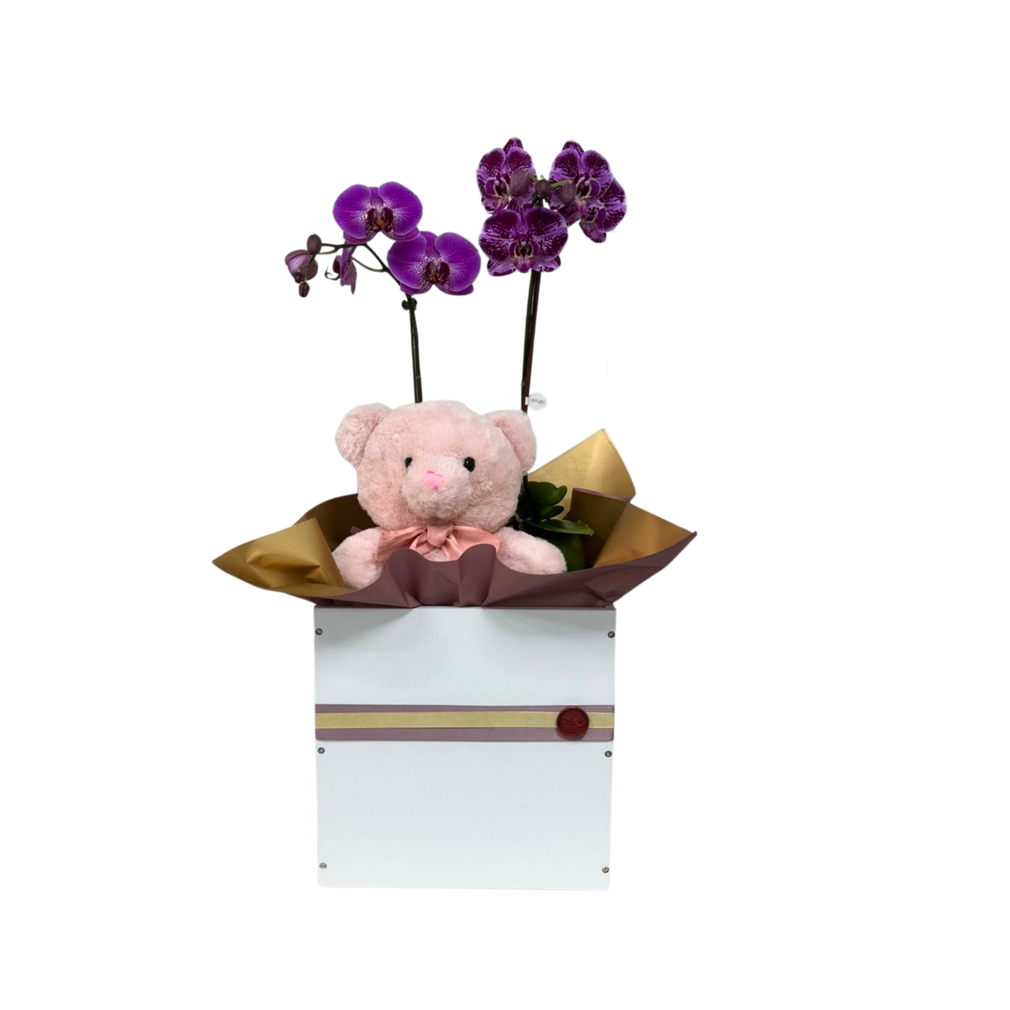 Arreglo de Orquídea - Bebé - Juguetero de melamina con peluche. - 2 varas grandes