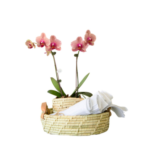 Arreglo de Orquídea - Karanday - Doble vara mini