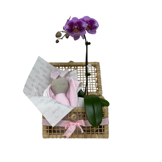 Arreglo de Orquídea - Caja chala pequeña - set ternura rosado- 1 vara grande