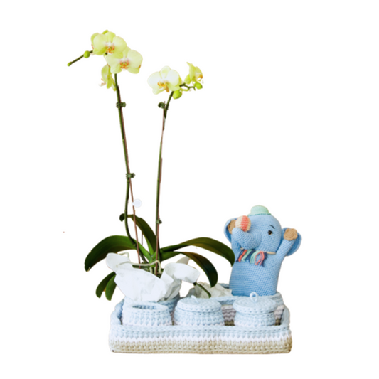 Arreglo de Orquídea - Macramé Amigurumi elefante -  Bebé Celeste 1 vara Premium