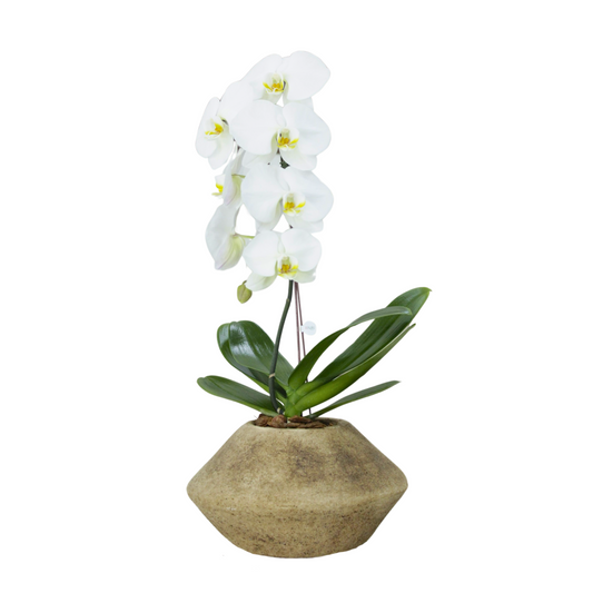 Arreglo de Orquídeas - Cerámica arenada - 1 vara premium