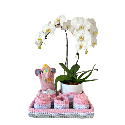 Arreglo de Orquídea - Macramé Amigurumi elefante -  Bebé Rosa 1 vara Premium
