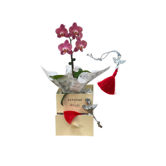 Box medalla de Espiritu Santo con borla