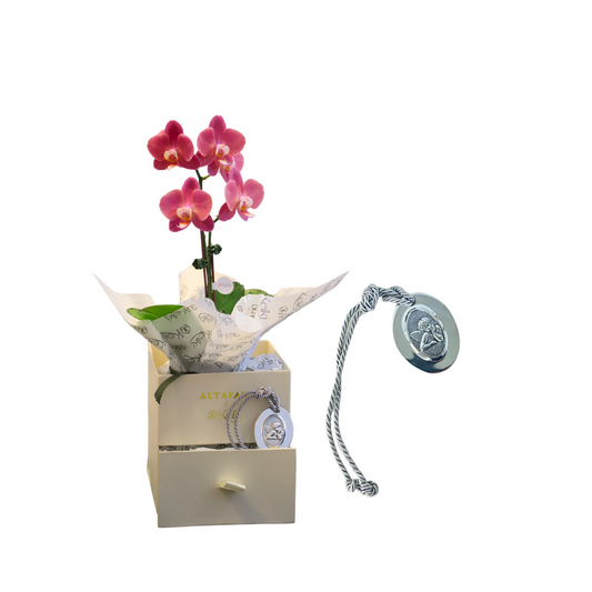 Box medalla Angel de la Guarda