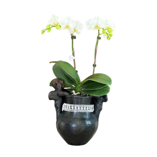 Arreglo de Orquídeas - Cerámica Nacional – Doble vara mini