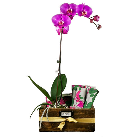 Kit Casa Maria: 6 Individuales, 6 Posa Vasos, 1 Caminero diseño de orquídeas + 1 Orquídea vara Grande