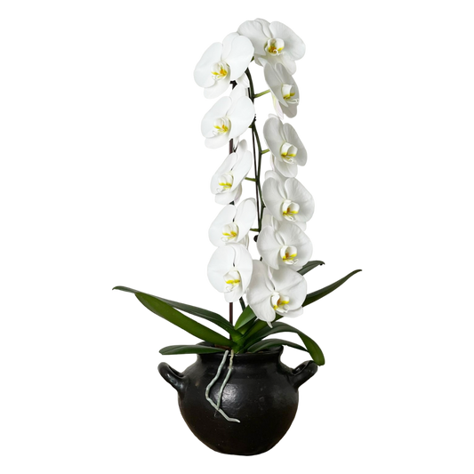 Arreglo de Orquídea - Cerámica Nacional Ñai’upo - 1 vara premium