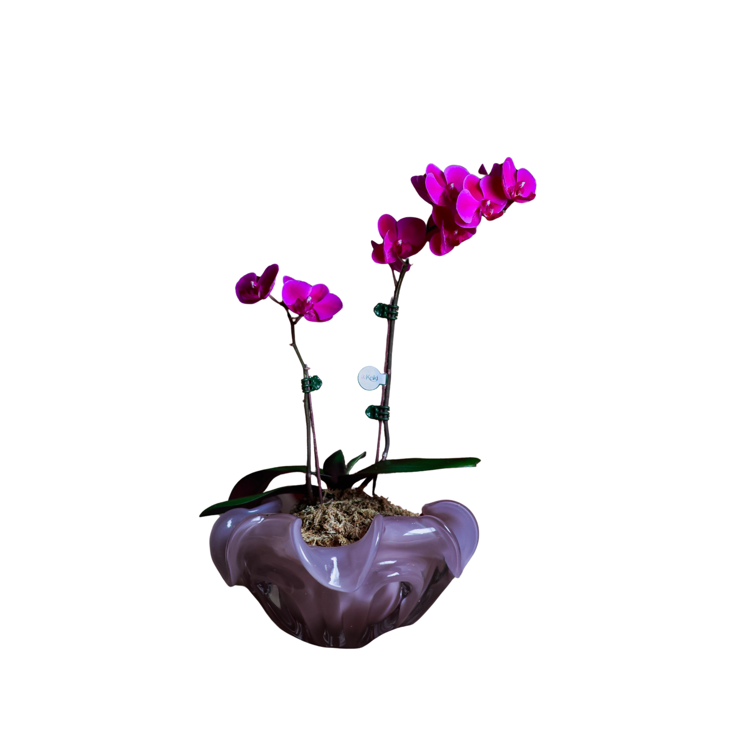 Arreglo de Orquídeas - Cristal de murano – 1 doble vara mini