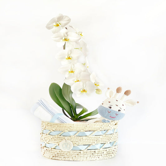 Arreglo de Orquídea - Karanday Amigurumi - Bebé Celeste 1 vara Premium