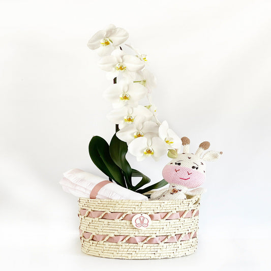 Arreglo de Orquídea - Karanday Amigurumi - Bebé Rosa 1 vara Premium